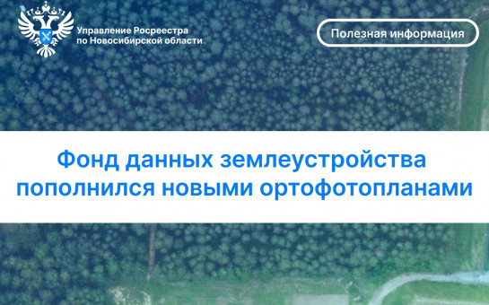 О подготовке ортофотопланов территорий в Новосибирском и Мошковском районах